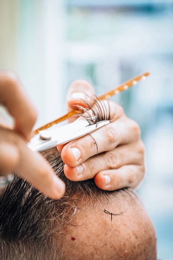 Professional hair clipping technique